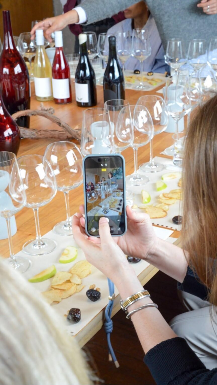 Copas y vinos en una degustación