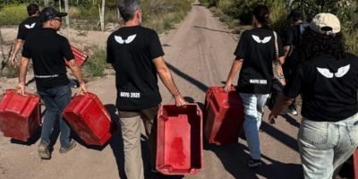 Captura de pantalla_26-5-2025_113440_enolife.com.ar